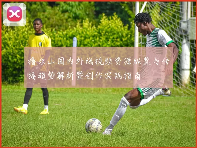 撸尔山国内外线视频资源纵览与传播趋势解析暨创作实践指南