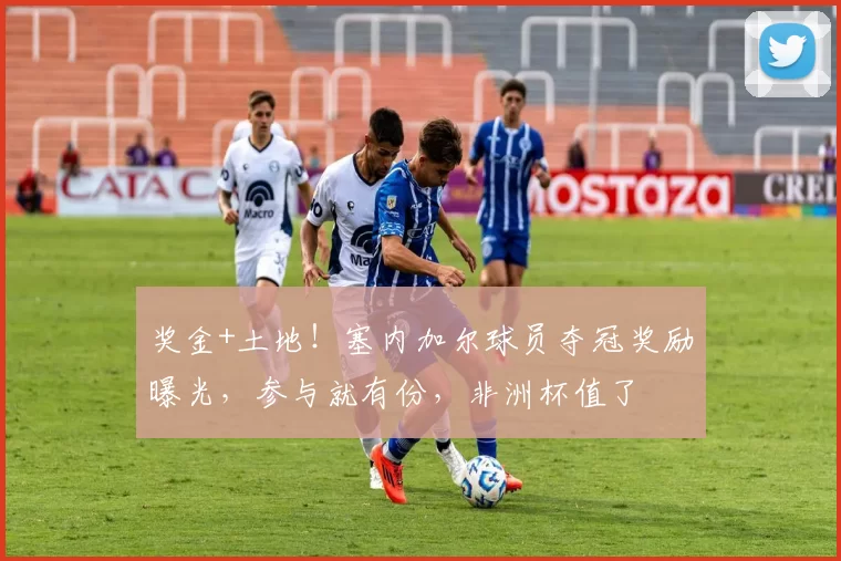 奖金+土地！塞内加尔球员夺冠奖励曝光，参与就有份，非洲杯值了